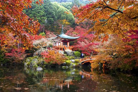 永源寺(もみじ寺): 紅葉の美しさと歴史の深さを探る